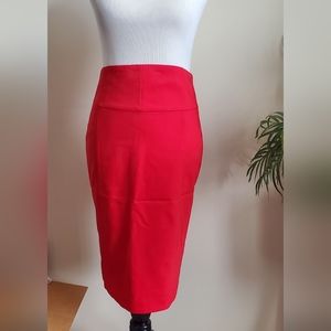 Express Size 2 High Waisted Skirt